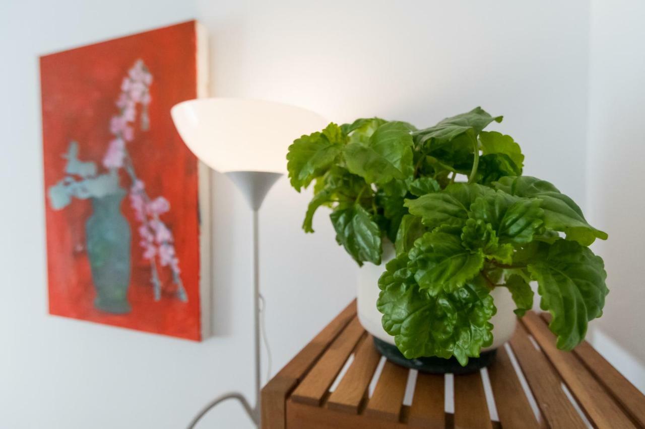 Apartamento La Galeria De San Antonio Cádiz Buitenkant foto